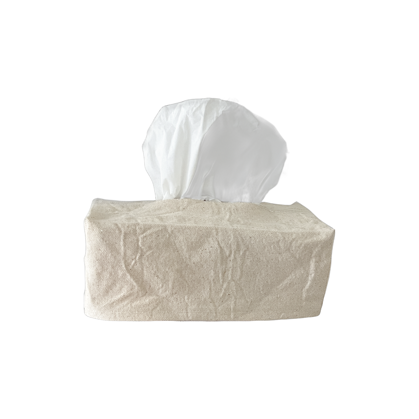 Canvas Tissue Box Cover | Disguise Your Tissue