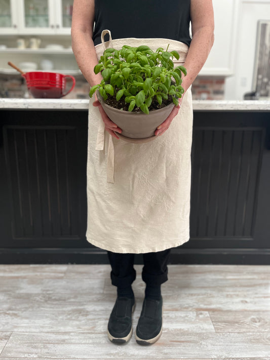 The EveryBody Bistro Apron | Half Apron | Unisex Apron