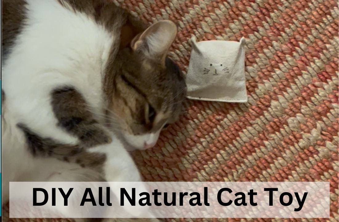 Catnap Play Pillow | Instructions to Make Your Own Eco-Friendly Cat Toy