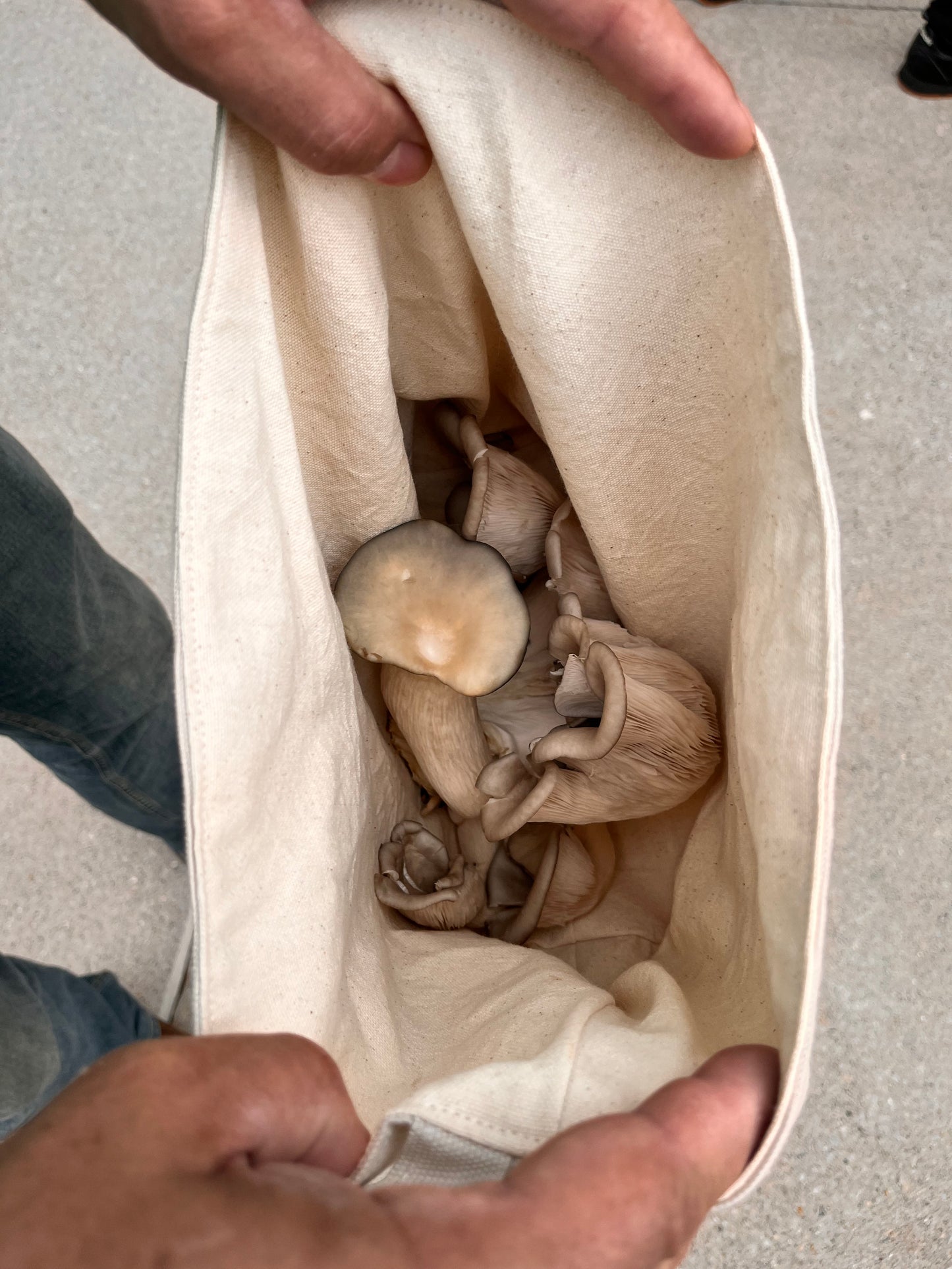 Mushroom Foraging Tote