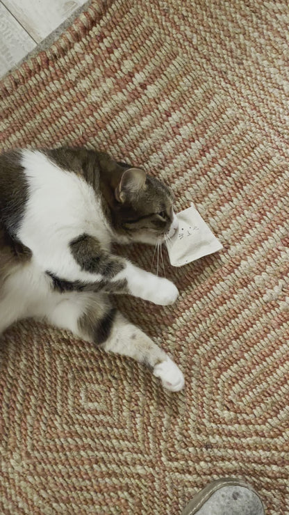 JuneBug is a brown striped tabby. She writhes on the floor, rubbing her cheek onto the all natural cat toy.