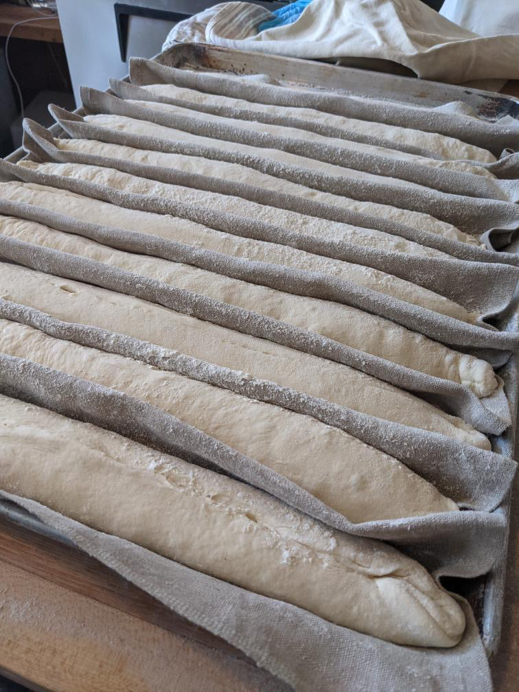 Baguettes are nestled in the couche as they proof. They are dusted with flour