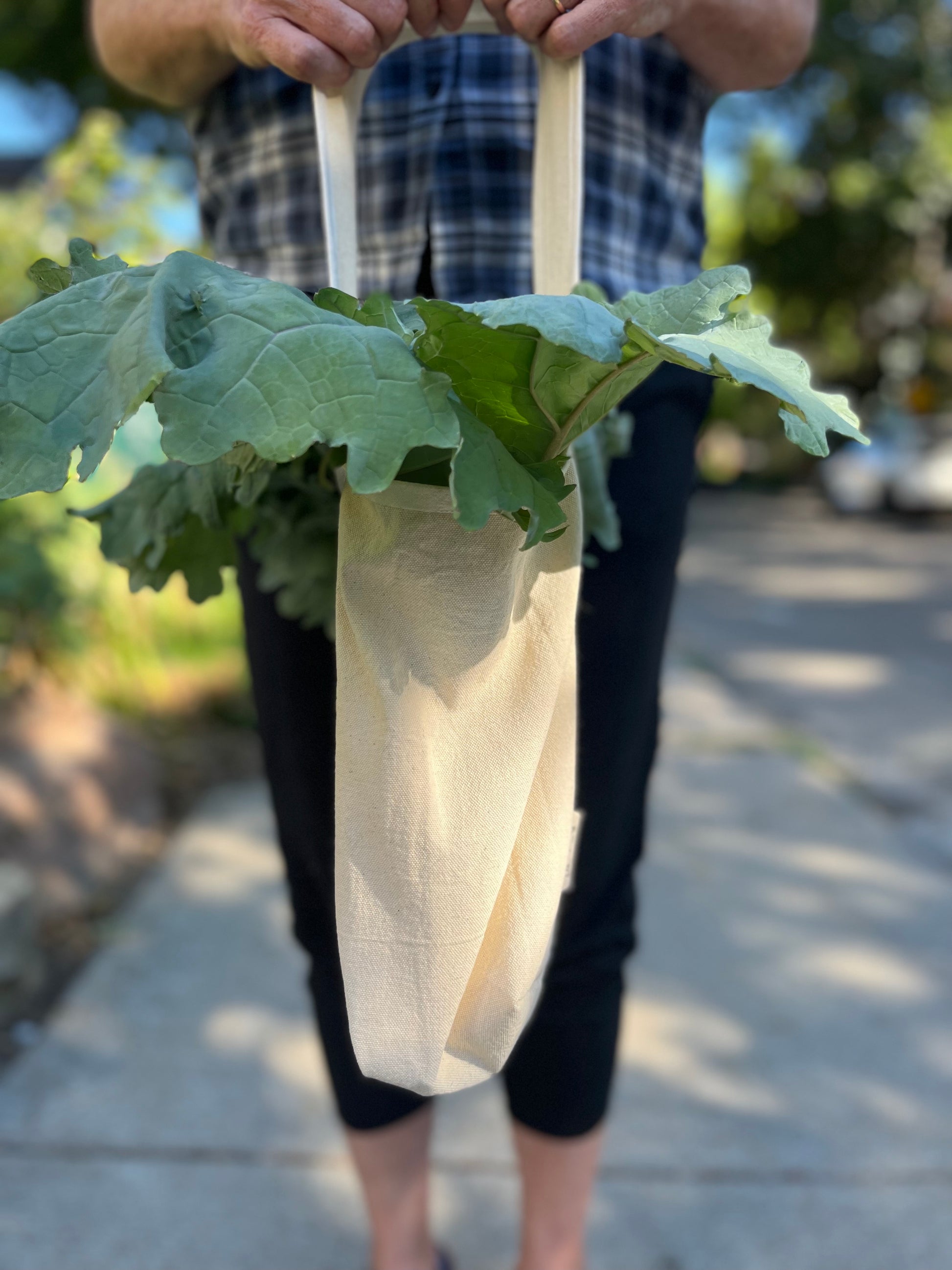 A woman holds a one-handled cotton canvas tote. Lacinato kale sticks out the top. A city sidewalk is blurred in the backgrounds