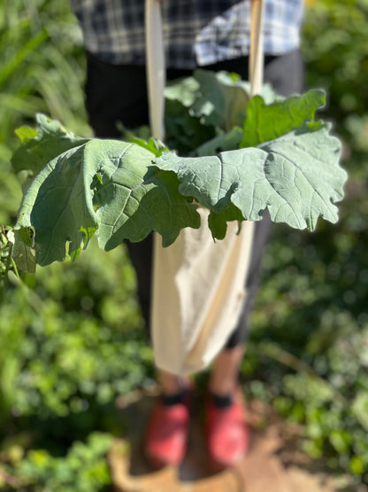A woman wearing red clogs surrounded by garden holds the posy tote filled with kale