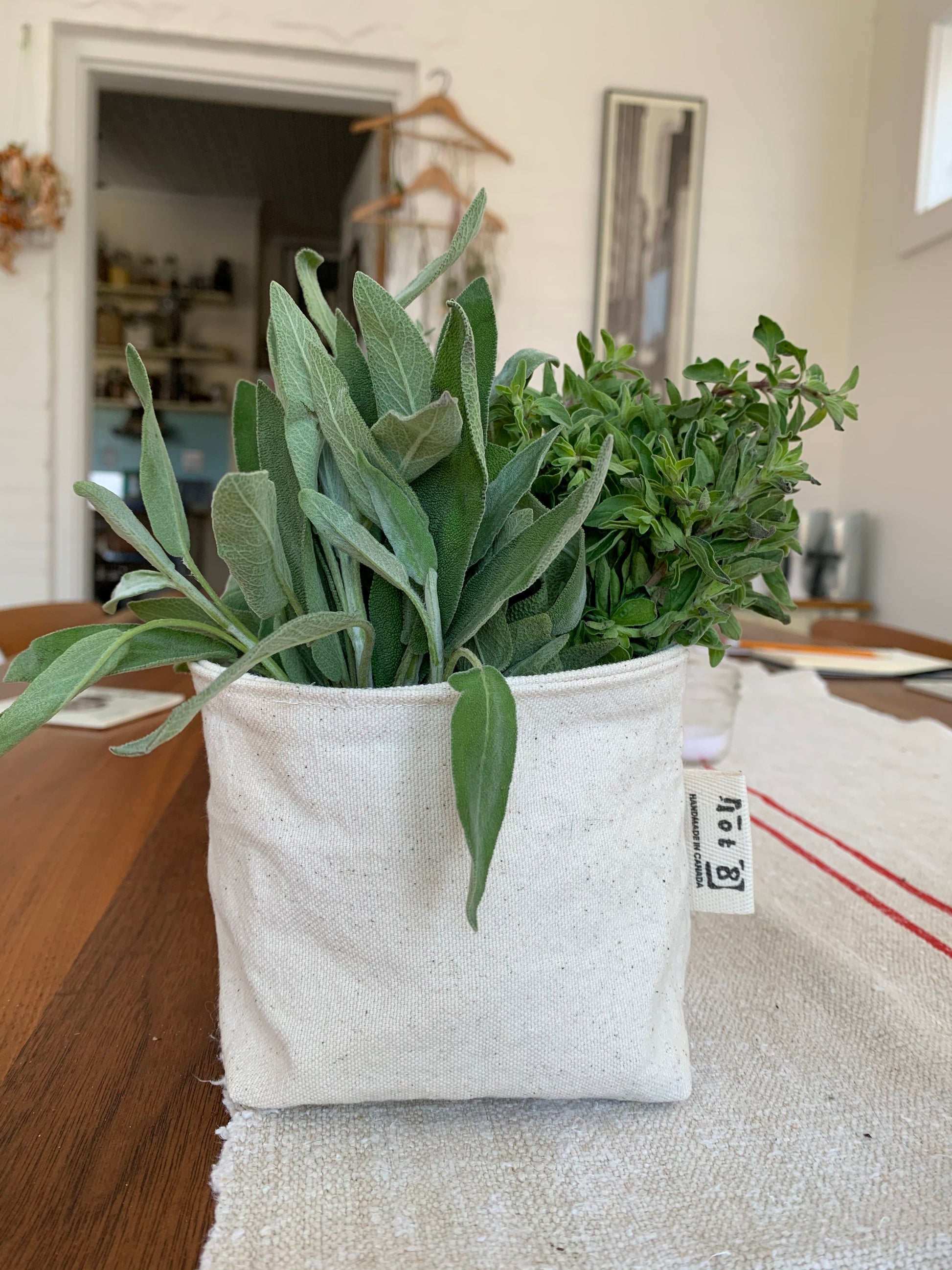 The bucket filled with fresh green herbs
